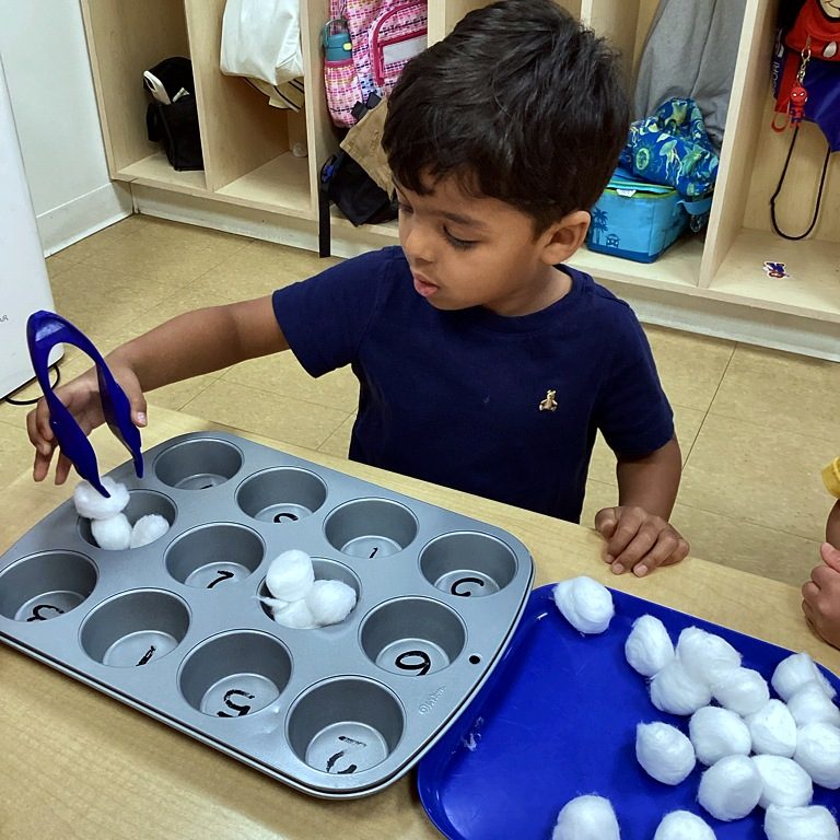 A child counting with cotton balls in a muffin tin