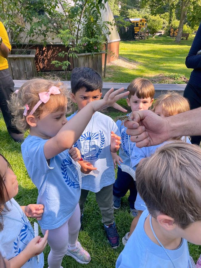 Children examining nature outdoors on a summer field trip